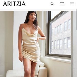 Aritzia Only Ruched Slip Dress (Wilfred)